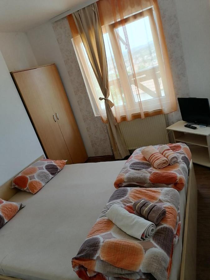 Apartmani Milosavljevic Сокобаня Экстерьер фото
