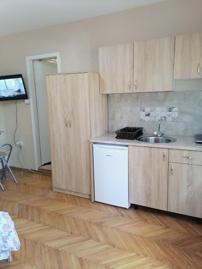 Apartmani Milosavljevic Сокобаня Номер фото