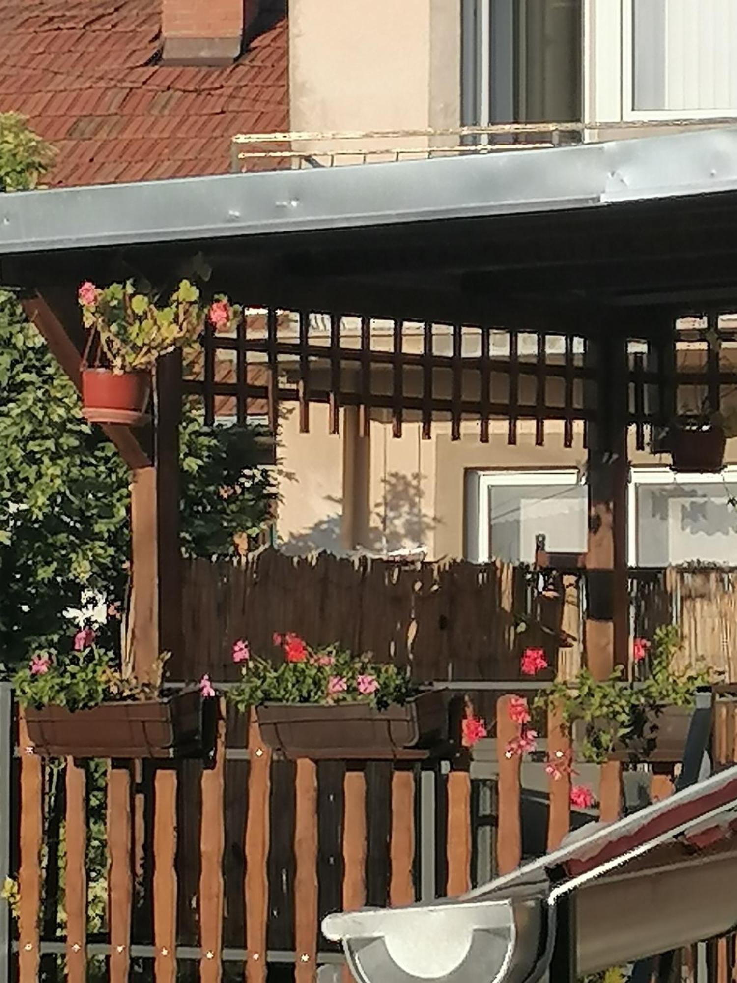 Apartmani Milosavljevic Сокобаня Номер фото
