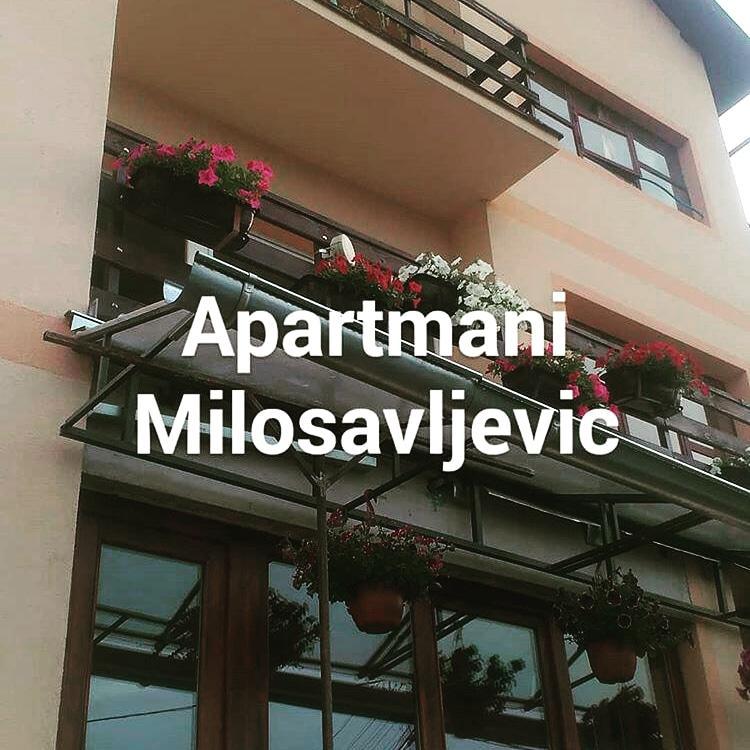 Apartmani Milosavljevic Сокобаня Экстерьер фото