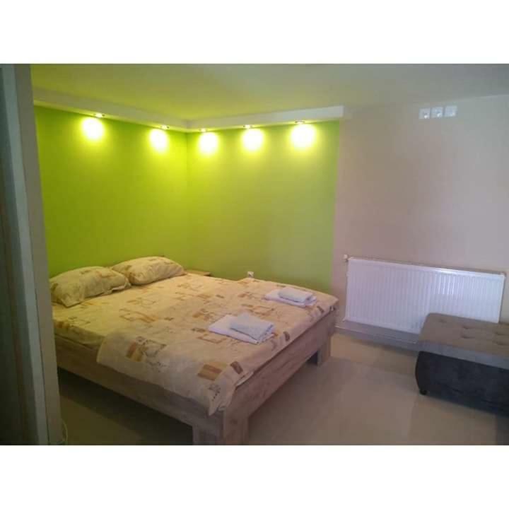 Apartmani Milosavljevic Сокобаня Экстерьер фото