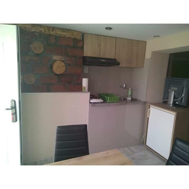 Apartmani Milosavljevic Сокобаня Экстерьер фото