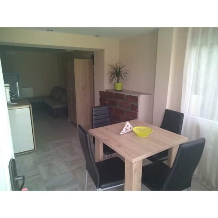 Apartmani Milosavljevic Сокобаня Экстерьер фото