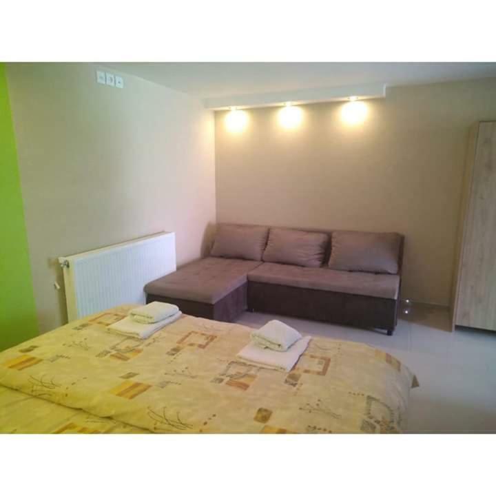 Apartmani Milosavljevic Сокобаня Экстерьер фото